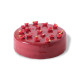Raspberry & Chocolate Cake